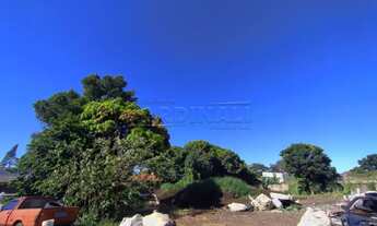 Imagem 6: Rural Chácara em Araraquara