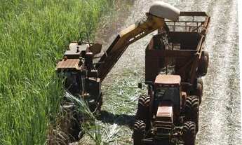 Imagem 2: 187 Alqueires CANA reg de Piracicaba / Capivari