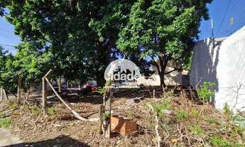 Imagem: Terreno para aluguel, Cancelli - Cascavel/Pr