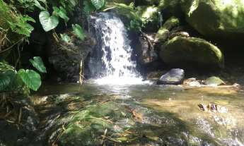 Imagem 3: Carnaval na casa e chalé da cachoeira 5 dias