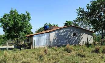 Imagem 4: Sítio em faina-GO