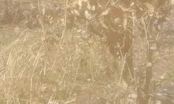 Imagem 4: Chacaras na região di jardim mateus leme