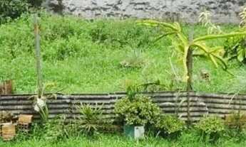 Imagem 6: Casa de 03 quartos na Mina do Mato