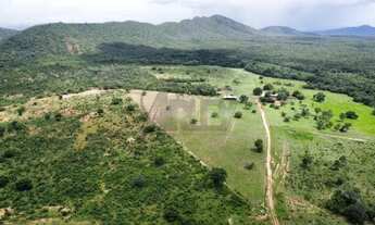 Imagem 6: Fazenda à Venda - 294 Alqueires Tocantins, na divisa com Goiás