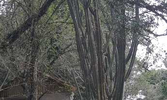 Imagem 5: Áreas,bairro Área rural