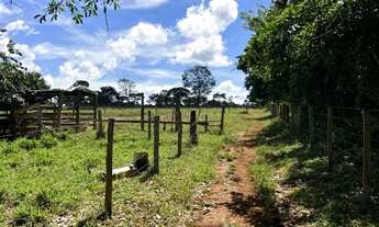 Imagem 2: Chácara ao lado de Goianápolis, terra vermelha só R$ 550mil