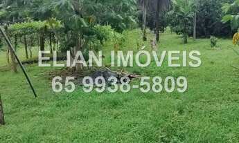 Imagem 7: Chácara Paradisíaca: 7 Hectares, Rio Canjira, Pomar Irrigado e Energia