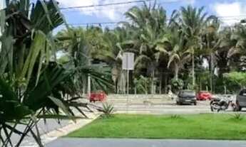 Imagem 6: Aptos no Vitória na Forquilha