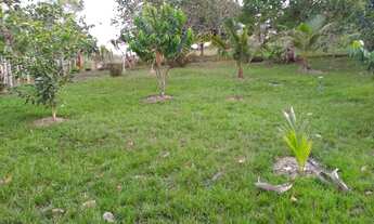 Imagem 4: Sítio Chácara com venda por R$50.000