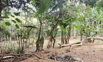 Imagem 5: TR _ Terreno com 1800m ,Local lindo e sossegado ,Previdenciários Juiz de Fora