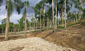 Imagem 6: Belas Áreas a venda Roseira , ótima oportunidade