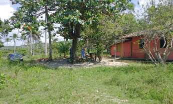 Imagem: Imóvel para venda possui 322000 metros