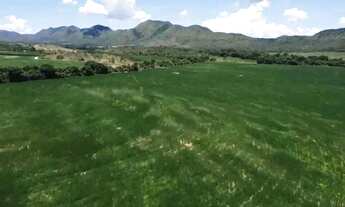 Imagem 3: Fazenda à venda em Vila Propício/GO com 1.452 Hectares