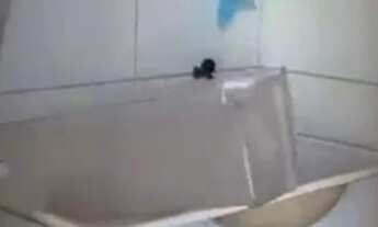 Imagem 4: Casa de praia Casa com 5 dormitórios