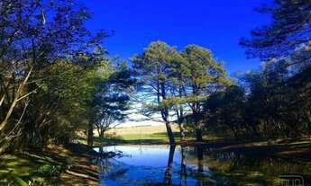 Imagem: Áreas,bairro Área rural
