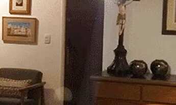 Imagem 4: Apartamento em Avenida Ibijaú - Moema - São Paulo/SP