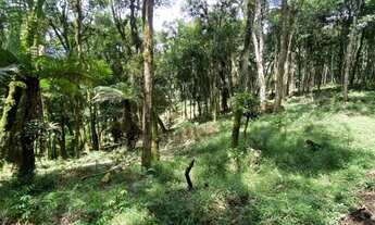 Imagem 3: Chacara Borda do Campo