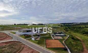 Imagem 5: VINHAS FLAMBOYANT