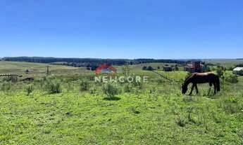 Imagem 7: Lote em Campo do meio - Campo do Meio - São Francisco de Paula/RS