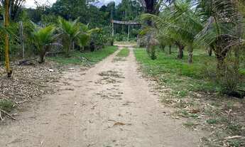 Imagem 2: SÍTIO NA ESTRADA DE NOVO AIRÃO