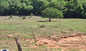 Imagem 7: Fazenda à Venda em Bom Jardim de Goiás 75 Alqueires