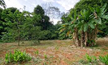 Imagem 4: Chácara entre Goiânia e Nerópolis