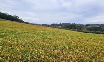 Imagem: Chacara com 30.000m² em Campo Magro Ideal