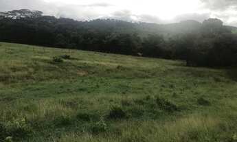 Imagem 5: Chácara 1 alqueiro e 40 litros a 2 km da cidade bem localizado