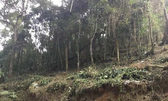 Imagem 5: Terreno à Venda no Capivari - Campos do Jordão/SP