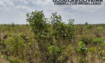 Imagem 5: Fazenda De 3.500 Hectares Em Baixa Grande Do Ribeiro/ PI Permuta Até 50% Em Imóveis