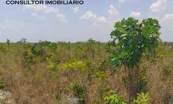 Imagem 2: Fazenda De 3.500 Hectares Em Baixa Grande Do Ribeiro/ PI Permuta Até 50% Em Imóveis