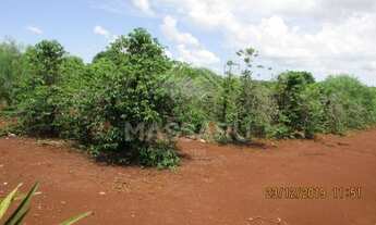 Imagem 4: MARINGÁ - TERRENO PADRÃO - PQ IND BANDEIRANTES