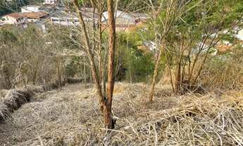 Imagem 7: Terreno no centro de Areal - Escritura e RGI