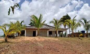 Imagem 1: Sítio Cajupary Chácara com venda por R$250.000