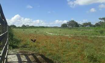 Imagem 3: Excelente Fazenda com 96 hectares na região vera cruz