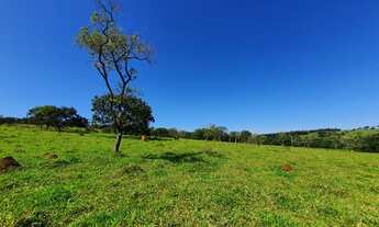 Imagem 7: Terrenos Excelentes Perto do Rio Pará Região de Divinópolis