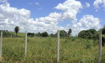 Imagem: Terreno com 1 Hectare ao lado da Exposição