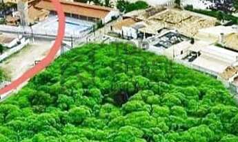 Imagem 5: Parnamirim - Pousada/Chalé - Pirangi do Norte (distrito Litoral