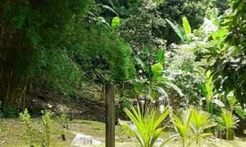 Imagem 3: Sitio com pomar e localização excelente