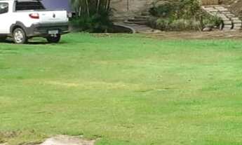 Imagem 2: Sitio com pomar e localização excelente