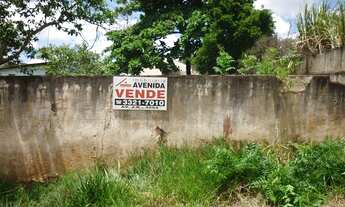 Imagem 2: LONDRINA - Terreno Padrão - EUROPA