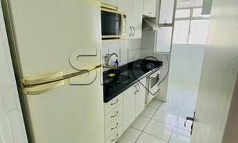 Imagem 7: Apartamento na região do Brás com 2 dormitórios, 1 banheiro e 1 vaga