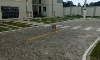 Imagem 7: Apartamento para aluguel tem 45 metros quadrados com 2 quartos