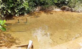 Imagem: Terreno com igarapé