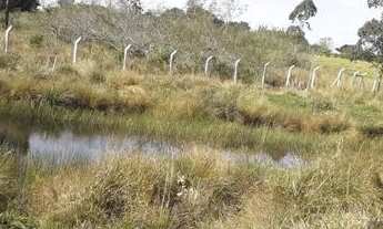 Imagem 5: Casa em Morro Grande