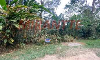Imagem 4: Excelente terreno na Serra da Cantareira, documentação em ordem e estuda proposta