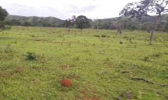 Imagem 2: Fazenda 50 hectares