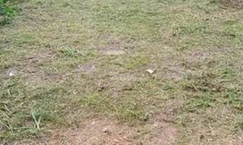 Imagem: Lote Excelente no Castanhal 2