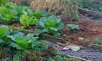 Imagem 7: Vendo uma Casa Casa com 4 dormitórios