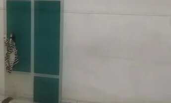 Imagem 5: Aluguel de casa no são jorge